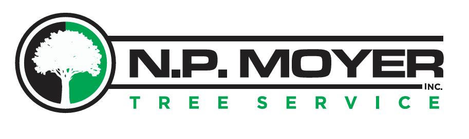 The Top Tree Removal Service company in Bucks & Montgomery Count PA gives us a call or fill out the form on our website